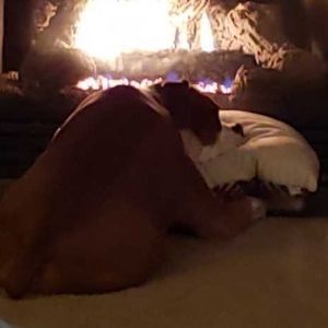 Meet your Posher, Mary